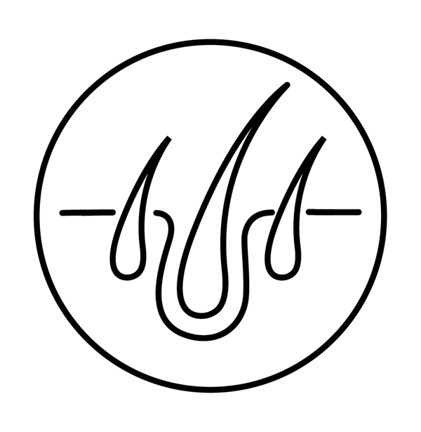 Illustration of three hair follicles representing thicker, fuller hair.