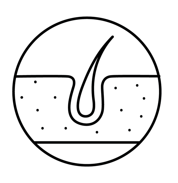 Illustration of a single hair follicle in the scalp indicating a healthier, calmer scalp.